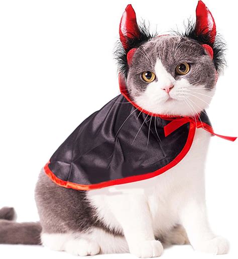 cat costume spirit halloween|funny cat halloween costumes.